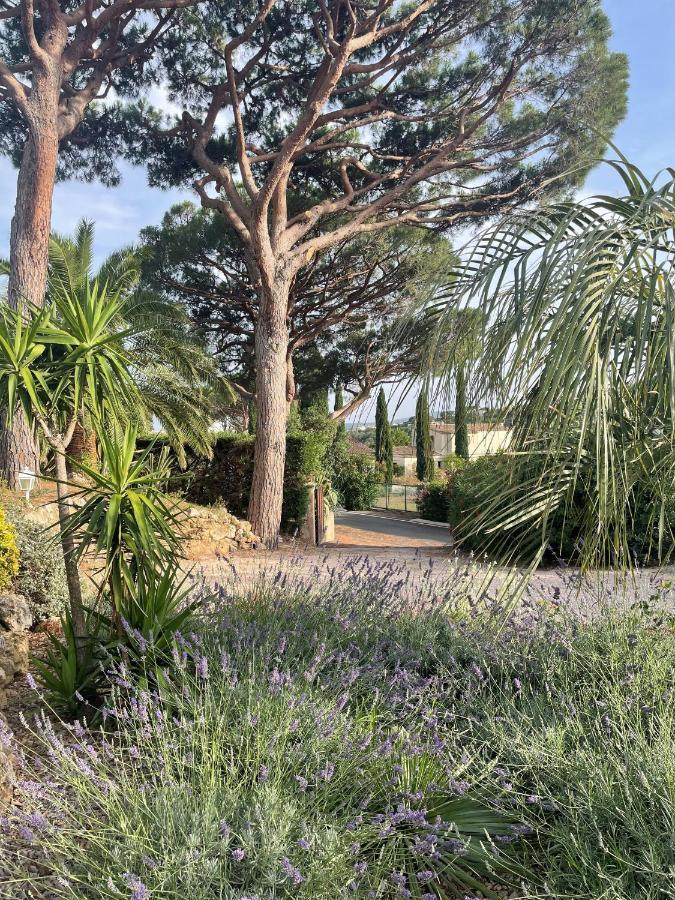 Paradis Provencal Sainte-Maxime Buitenkant foto